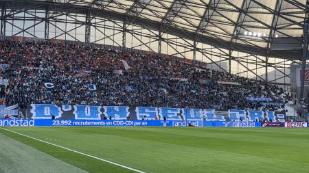 22-OM-ASSE 01.jpg